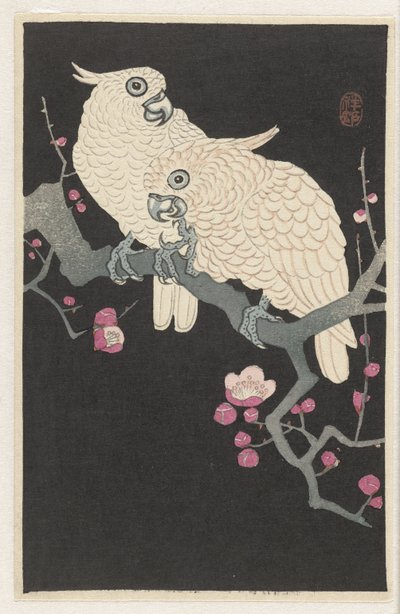 Zwei Kakadus und Pflaumenblüte von Ohara Koson