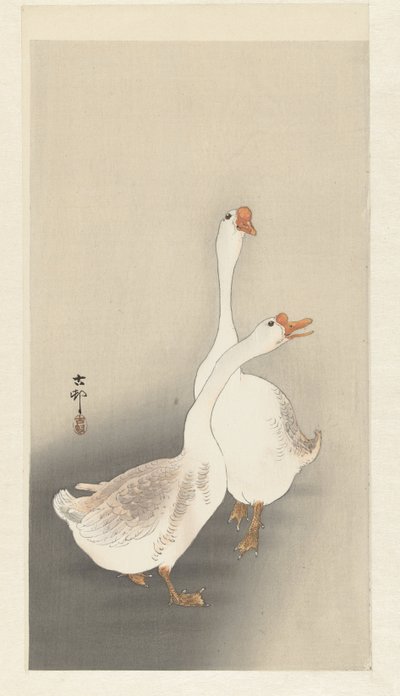 Zwei Gänse von Ohara Koson