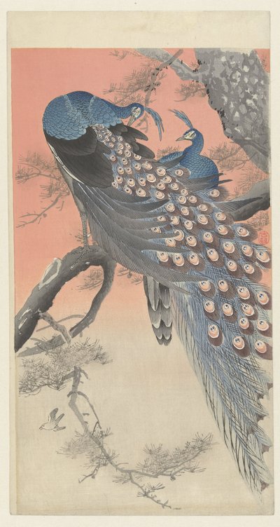 Zwei Pfauen auf einem Baumzweig von Ohara Koson