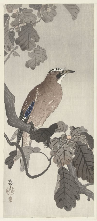 Eichelhäher auf einem Ast von Ohara Koson