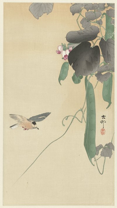 Vogel bei blühender Bohnenpflanze von Ohara Koson