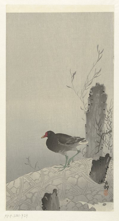Teichhuhn von Ohara Koson