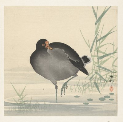 Wasserhuhn von Ohara Koson