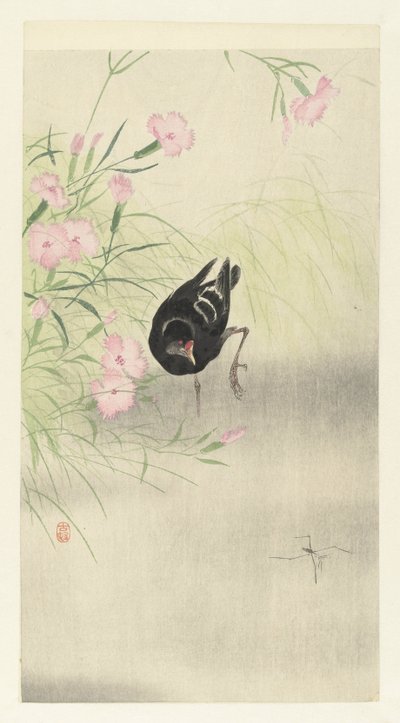 Teichhuhn bei blühender Pflanze von Ohara Koson