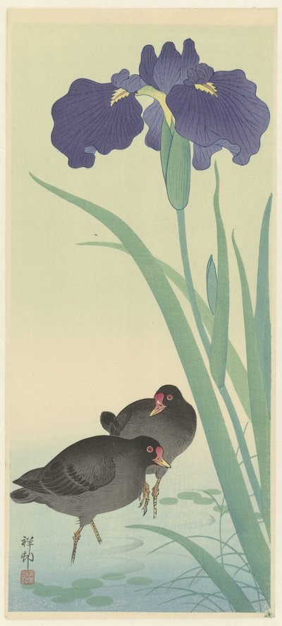 Teichhühner und Iris von Ohara Koson