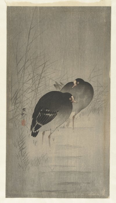 Teichhühner im Schilf von Ohara Koson