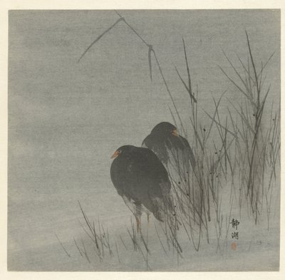 Zwei Blässhühner im Schilf von Okuhara Seiko