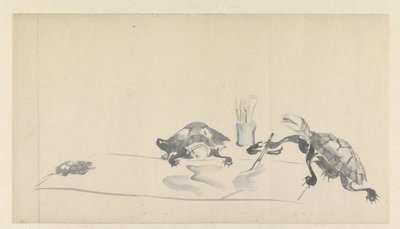 Schilderende schildpadden von Onishi Chinnen