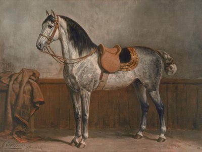 Lipizzaner von Otto Eerelman