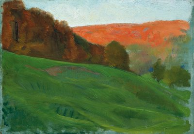 Herbstlicher Wald hinter grüner Wiese von Otto Friedrich