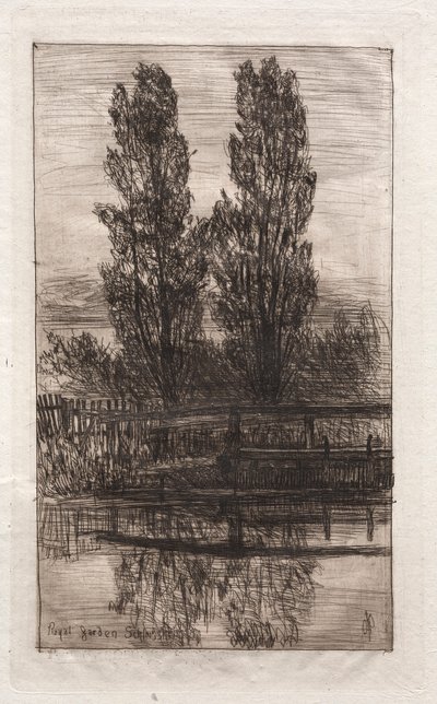 Pappeln, Königlicher Garten, Schleissheim, 1879 von Otto H. Bacher