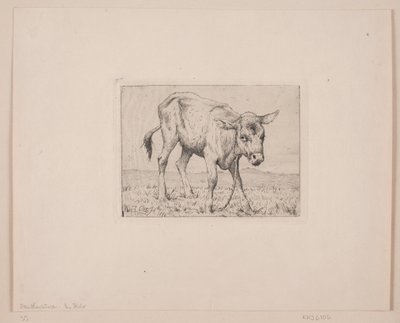 Ein Kalb von Otto Haslund
