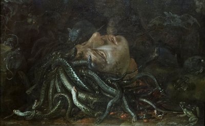 Kopf der Medusa von Otto Marseus  van Schrieck