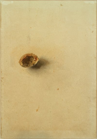 Nussschale von Otto Meyer Amden
