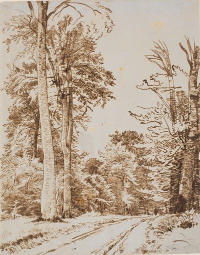 Waldweg. Iselinge von P.C. Skovgaard