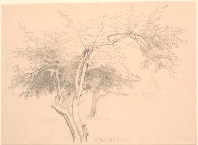 Studie von Baumwipfeln von P.C. Skovgaard