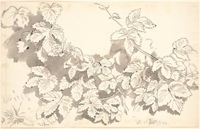 Studienblatt. Eichenblätter. von P.C. Skovgaard