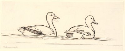 Zwei Enten. Dekorativer Entwurf. von P.C. Skovgaard