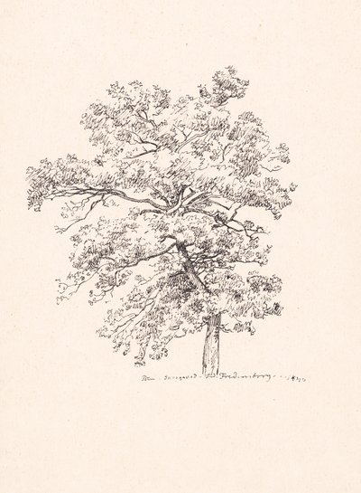 Baum bei Fredensborg von P.C. Skovgaard
