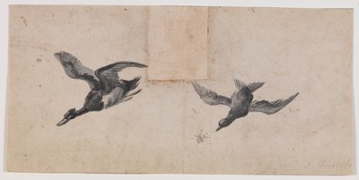 Zwei fliegende Vögel von Pandolfo Reschi