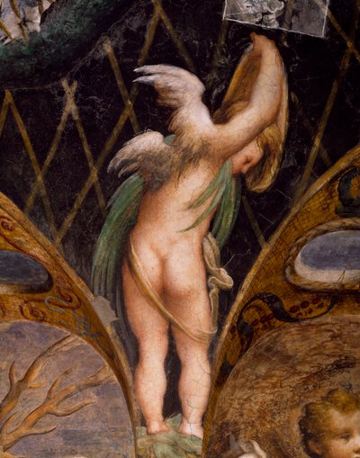 Putto (aus dem Mythos von Diana und Aktäon) von Parmigianino