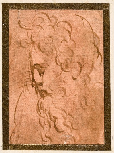 Männlicher Kopf von Parmigianino