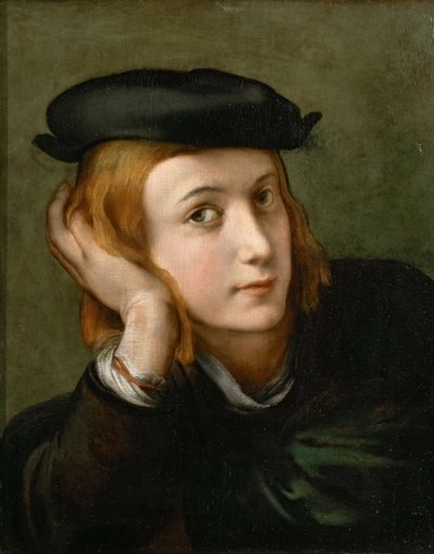 Porträt eines Jungen, ca. 1524 von Parmigianino