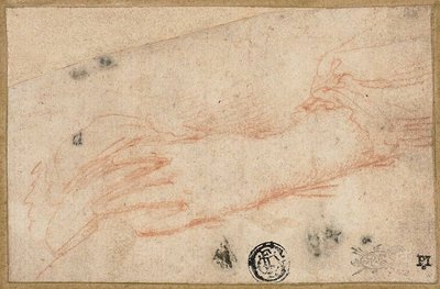Skizze der linken Hand und des Handgelenks von Parmigianino