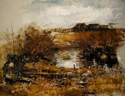 Wasserloch mit Weidensträuchern von Paul Baum