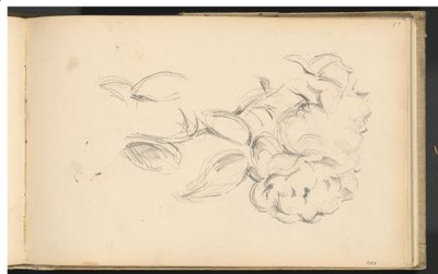 Pfingstrosen von Paul Cézanne