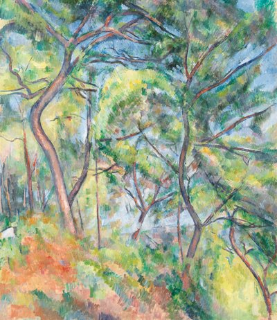 Sous-Bois, ca. 1894 von Paul Cézanne