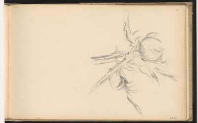 Distel von Paul Cézanne