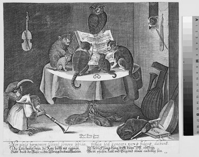 Konzert von Eule, Katzen und Affen von Paul Fürst