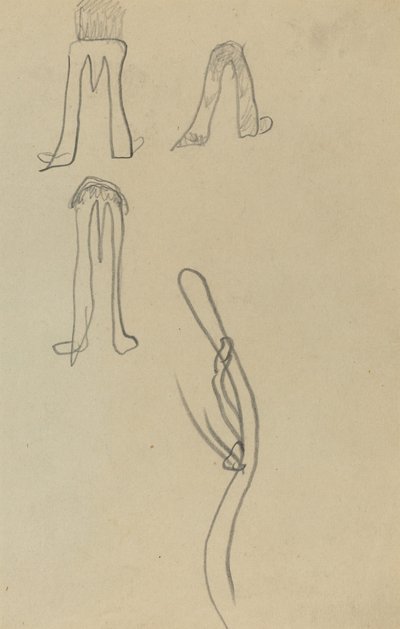 Vier fantastische Formen [recto] von Paul Gauguin