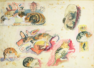 Studie von Katzen und einem Kopf von Paul Gauguin
