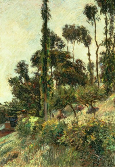 Die Seite des Hügels von Paul Gauguin