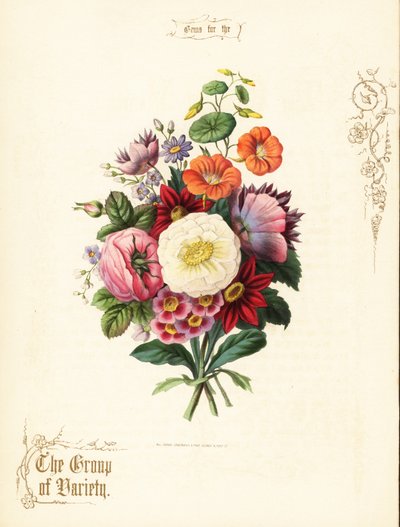 Blumenstrauß aus weißer Rose, Dahlie, Kapuzinerkresse, Aurikel von Paul Jerrard