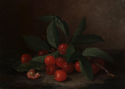 Stillleben mit Kirschen von Paul Lacroix