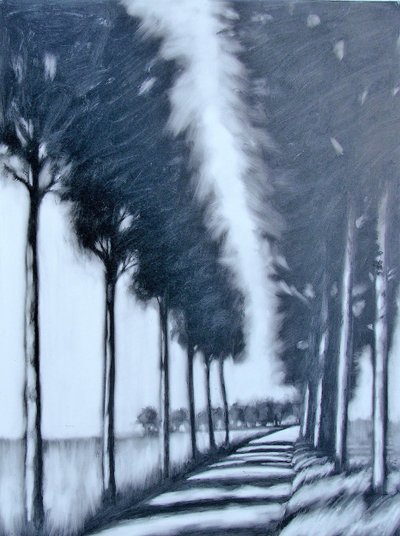 Allee von Paul Powis