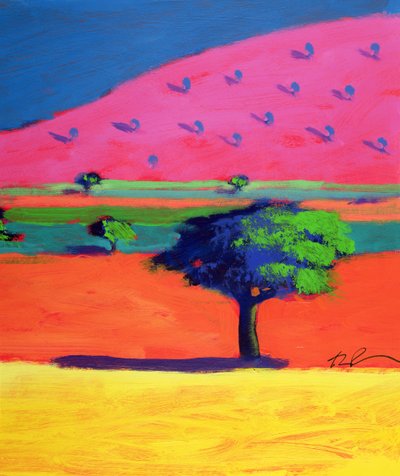 Pink Hill von Paul Powis