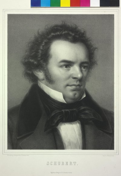 Schubert von Paul Rohrbach
