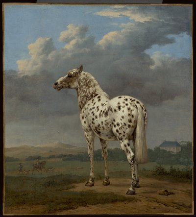 Das "Scheckige" Pferd von Paulus Potter
