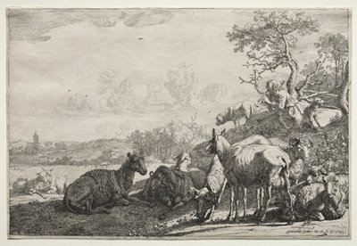 Der Hirte, 1644 von Paulus Potter