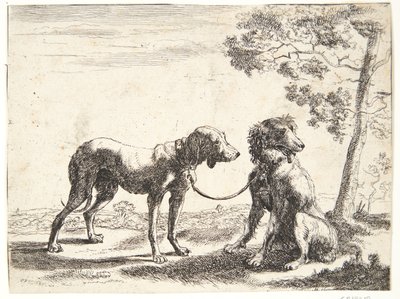 Zwei zusammengebundene Hunde von Paulus van Hillegaert (II)