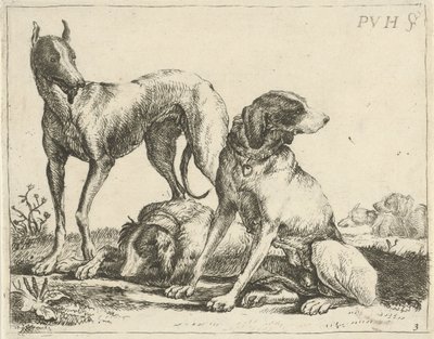 Drei Hunde von Pauwels van Hillegaert