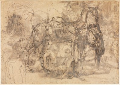 Tierskizzen (verso) von Perino del Vaga