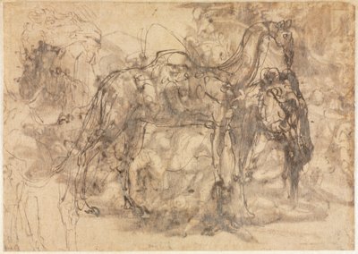 Tierskizzen verso, um 1545-47 von Perino del Vaga