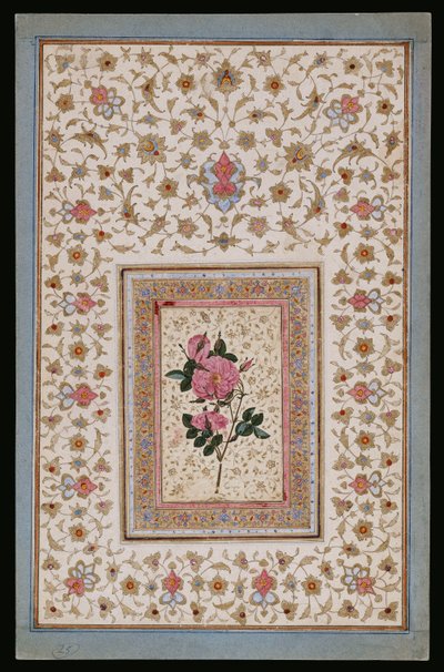 Studie einer Rose von Persian School