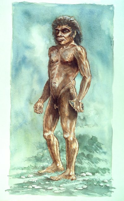 Boxgrove-Mensch, prähistorisch von Peter Dunn