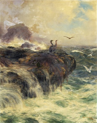 Adlerklippe von Peter Graham